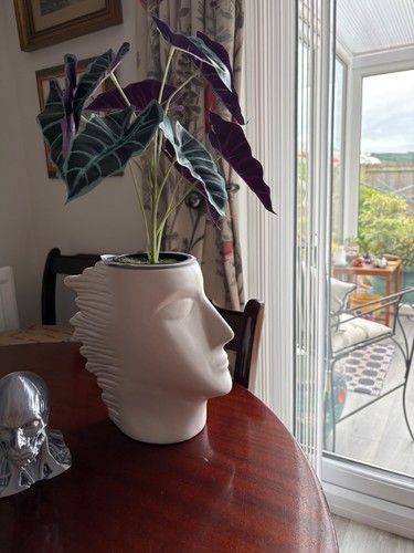 Large white ceramic head - , vase