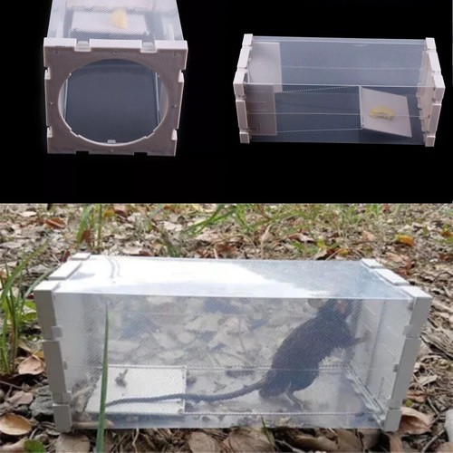 Professional rodent box - rodent,