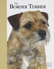 Border Terrier - Betty Judge