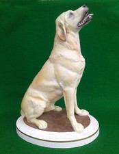 ROYAL WORCESTER - YELLOW LABRADOR by KENNETH POTTS - LIMITED EDITION.