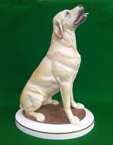 Royal worcester yellow - -,