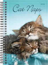 Cat Naps A5 Diary 2025 - 2026