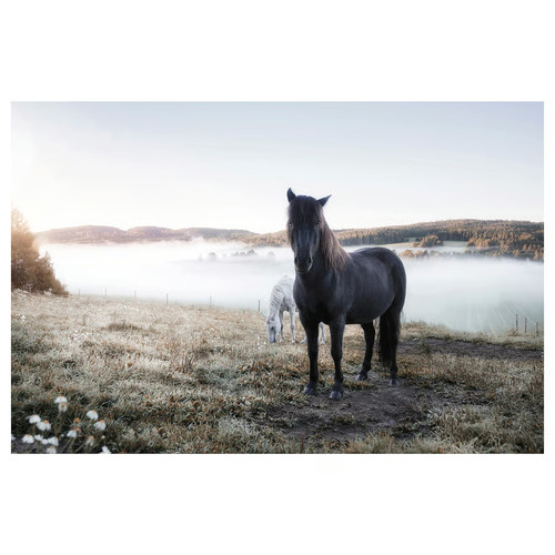 Ikea bjorksta grazing - ikea,