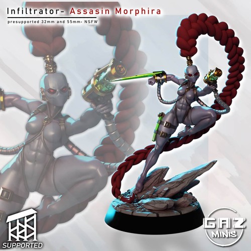 Assassin morphira fantasy - assassin,