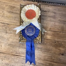 2 Vintage Rosettes. Pony club/ Horses. Glued to a frame. Sandhurst pony club