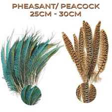 10x Natural Pheasant/Peacock