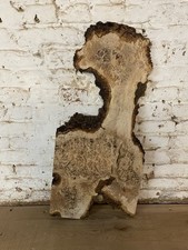 Waney Edge Live Edge Oak Burr