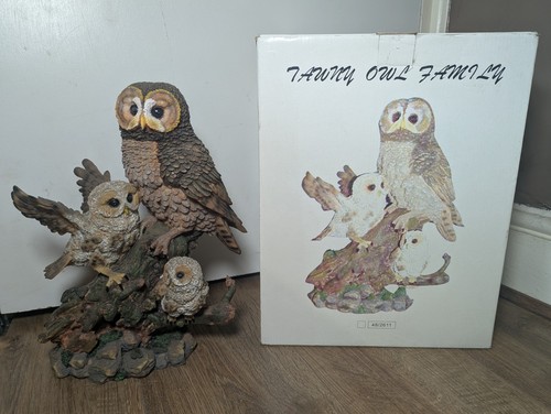 Tawny owl family academy - tawny,