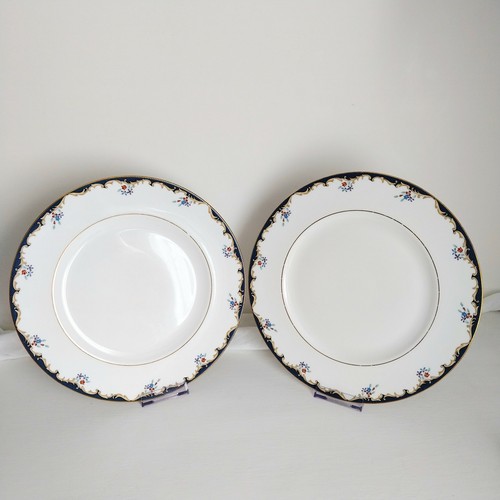 Wedgwood dinner plates 2 - wedgwood,