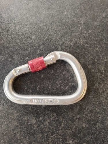 Screwgate carabiner wales - screwgate,
