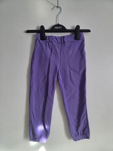 Name purple tracksuit - it,