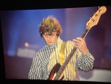 Oasis Photo Transparency