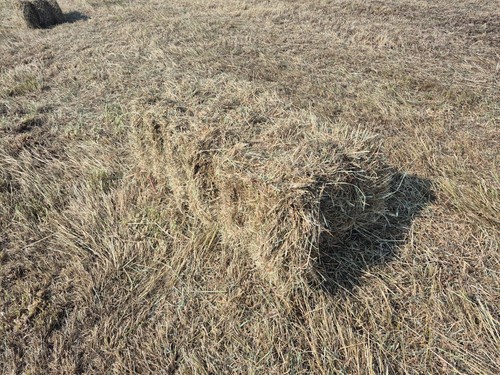 Small hay bales