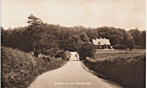 Purbrook near havant stakes - near,