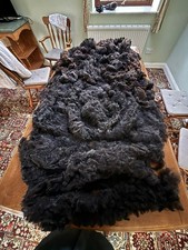 “Jacobean” (Jacob x