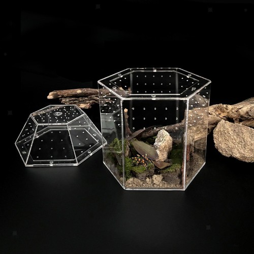 Modern reptile terrarium - modern,