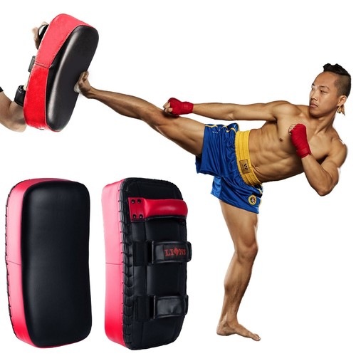 Muay thai kick - pads, boxing