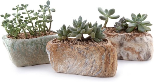 Inch ceramic succulent pot - inch,