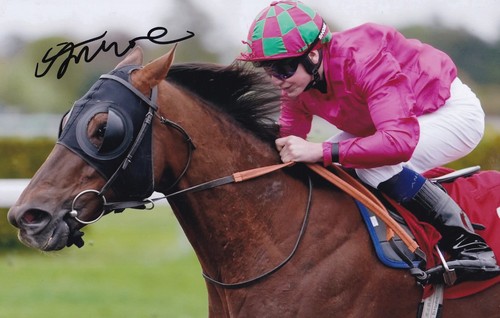 Horse racing toby - racing,