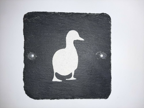 Warning sign duck mind your - sign,