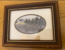 Canadian Artist - Catherine Karnes Munn