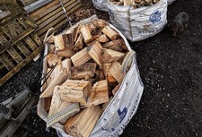 Seasoned barn stored hardwood - seasoned,