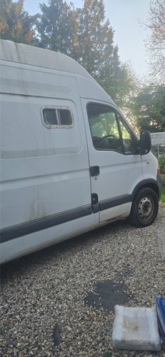 Renault master horsebox - renault,