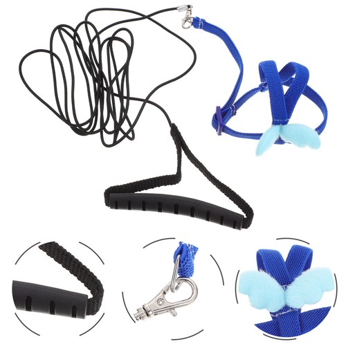 Pet parrot leash - pet, kit
