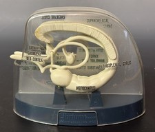 Vintage Librium Brain
