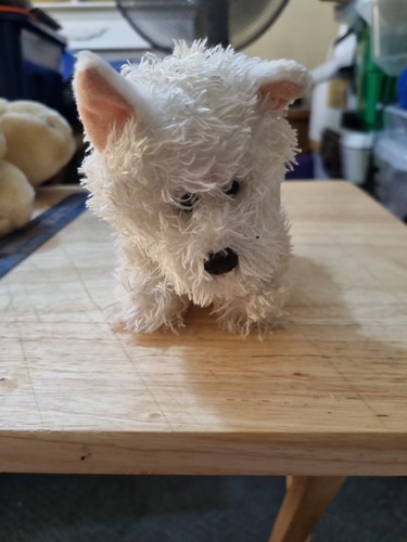 Puppy pals west highland white - pals,