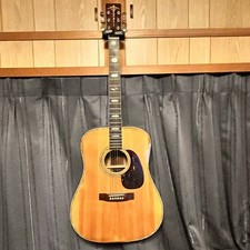 no brand dreadnought model /