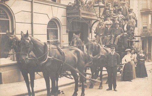 Postcard ilfracombe horse - ,