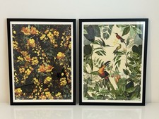 Andrea Haase Tropical Birds Toucan Art Print Framed Floral Design 63cm X 48cm