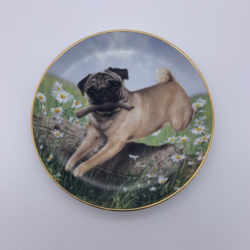 Retired danbury mint pug - retired,