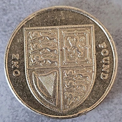 One pound coin - one,
