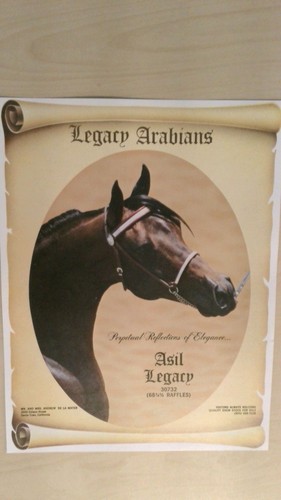 Vintage 1965 asil - vintage, legacy