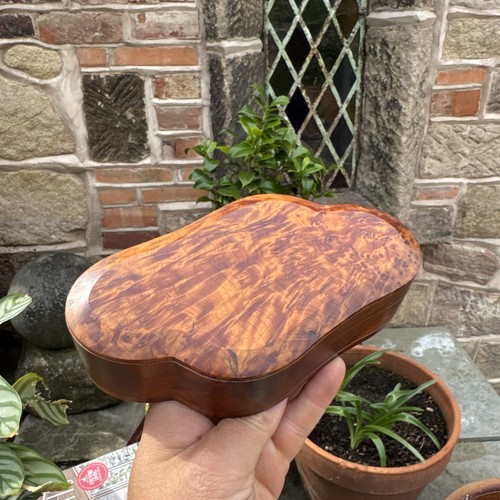 Vintage burr wood storage box - wood?,
