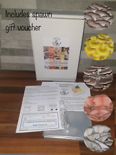 Mushroom Growing Kit Oyster Log (Twin)- XXL Gift Tokens For Fresh Spawn Included