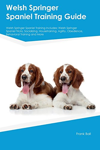 Welsh springer spaniel - welsh,