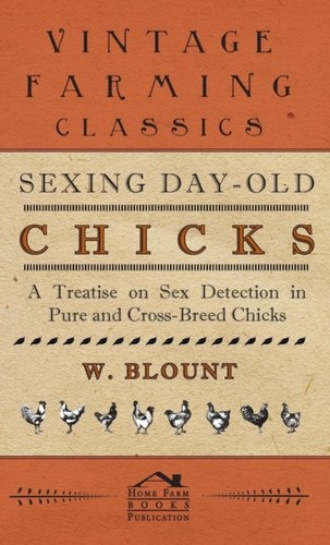 Blount sexing day old - blount,
