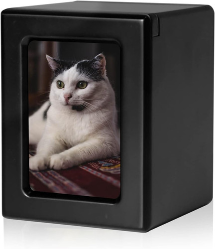 Pcs cat urn - cat, ashes
