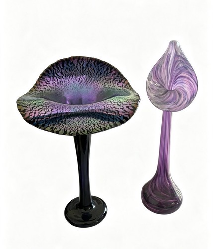 Jack the pulpit - the, glass