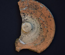 Vintage Garden: Partial