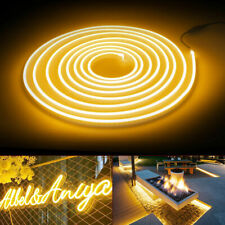 100m 220V 240V LED Strip Neon