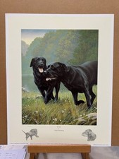 NIgel Hemming - Play (Print Only) - In Stock