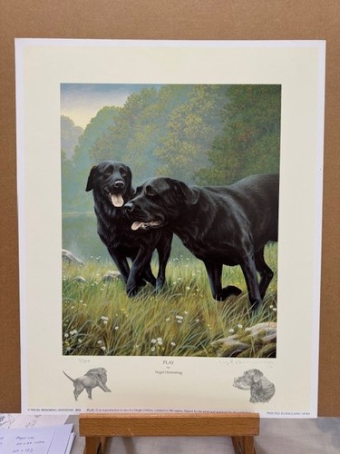 Nigel hemming play print - -, (print