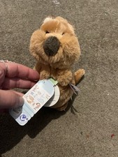 Nici Green Collection