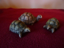 3 small miniature tortoise