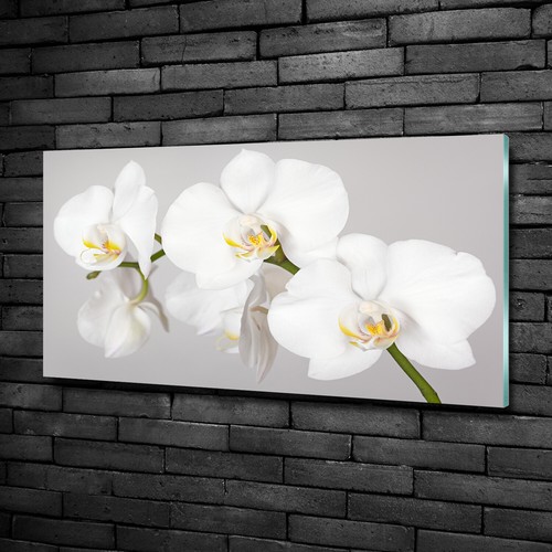 Tulup glass print wall - wall, art