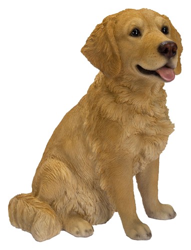 Vivid arts golden retriever - arts,